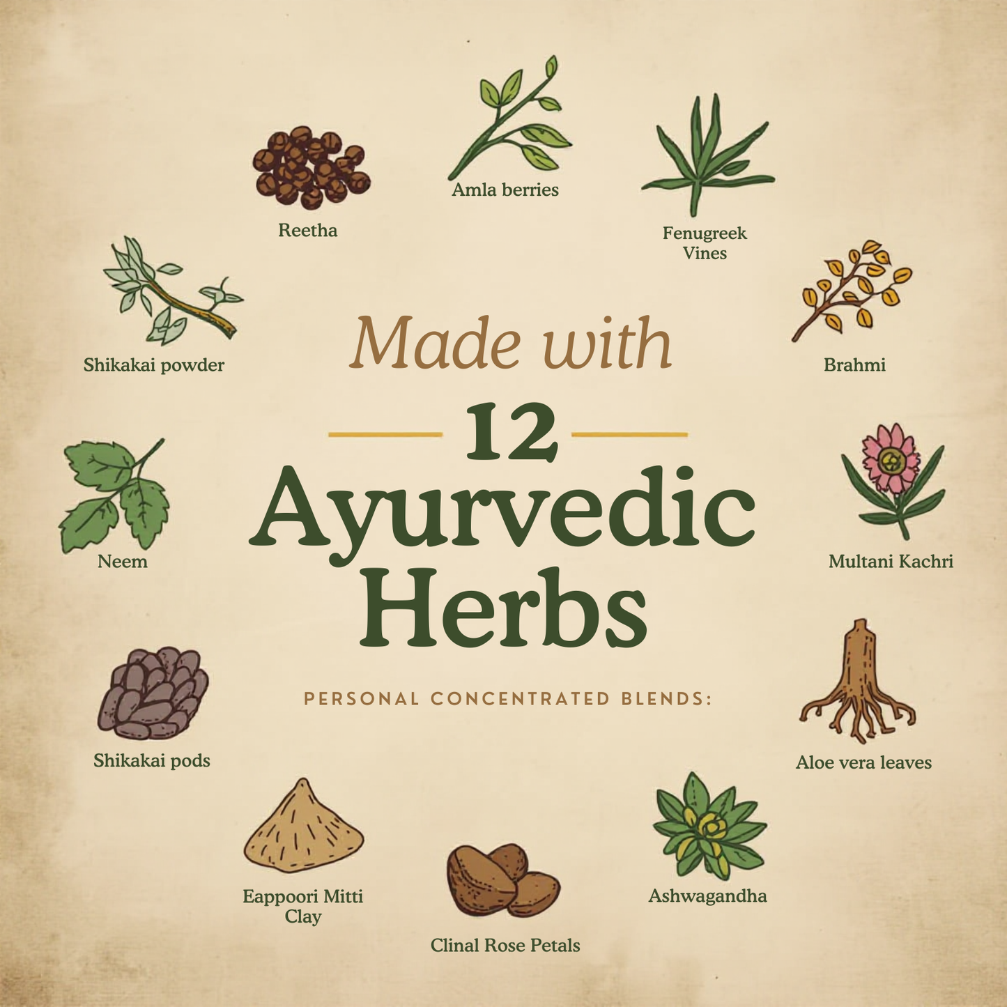 RIVK Ayurvedic Shampoo - 12 Herbal Formula for Strong Roots & Less Hair Fall, Pack of 2 (200g+200g)